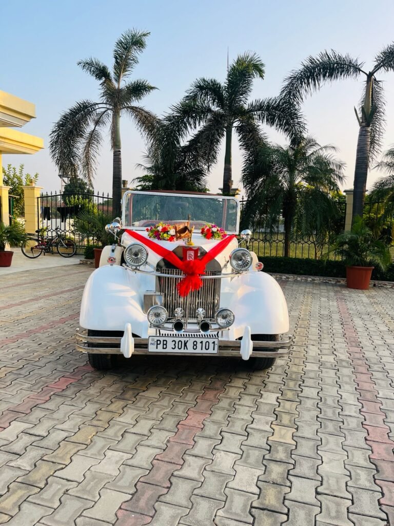 WhatsApp Image 2026-02-23 at 12.58.31 PM (1)