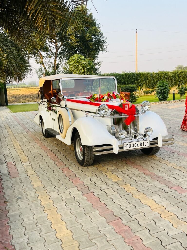 WhatsApp Image 2026-02-23 at 12.58.31 PM