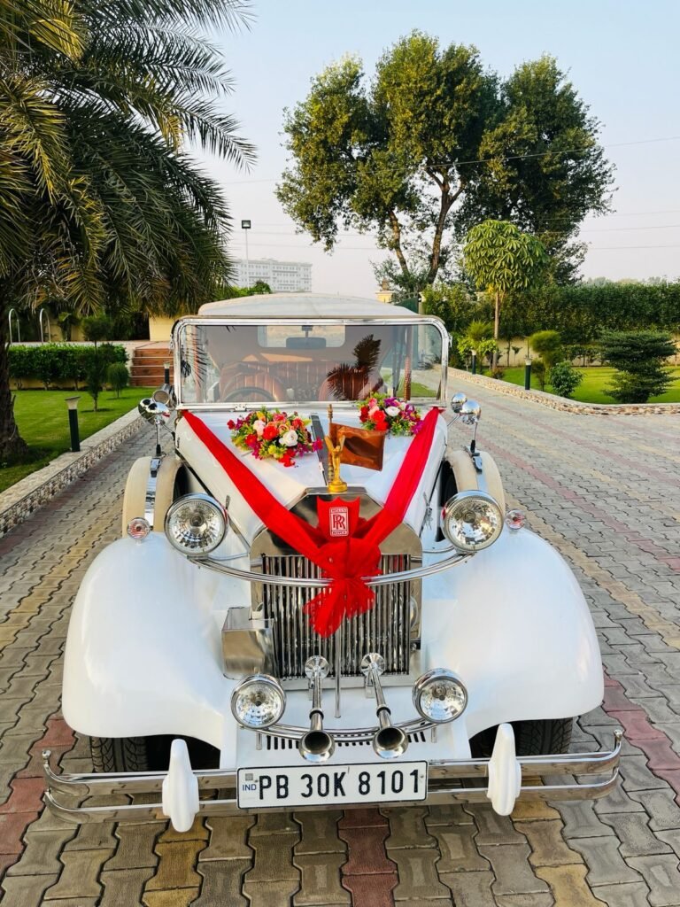 WhatsApp Image 2026-02-23 at 12.58.32 PM (1)