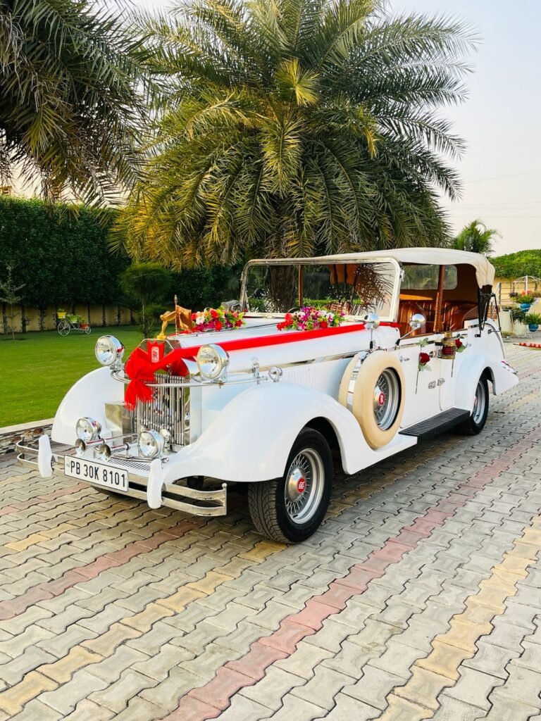 WhatsApp Image 2026-02-23 at 12.58.33 PM (1) - Copy