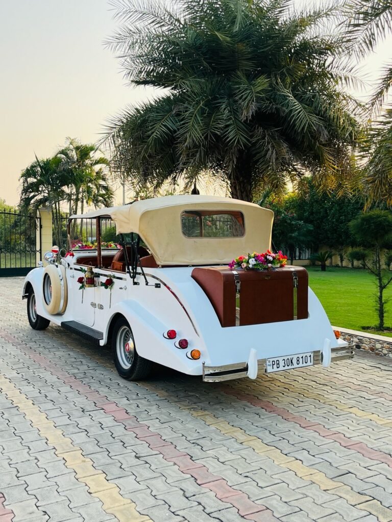 WhatsApp Image 2026-02-23 at 12.58.33 PM