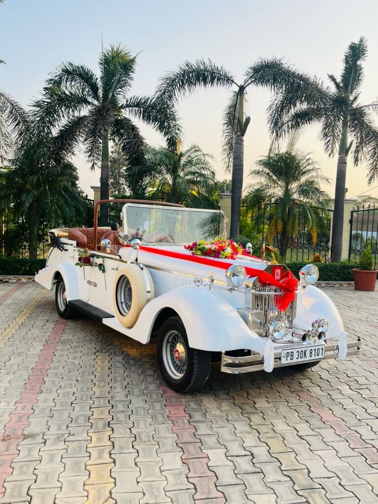 WhatsApp Image 2026-02-23 at 12.58.34 PM (1)