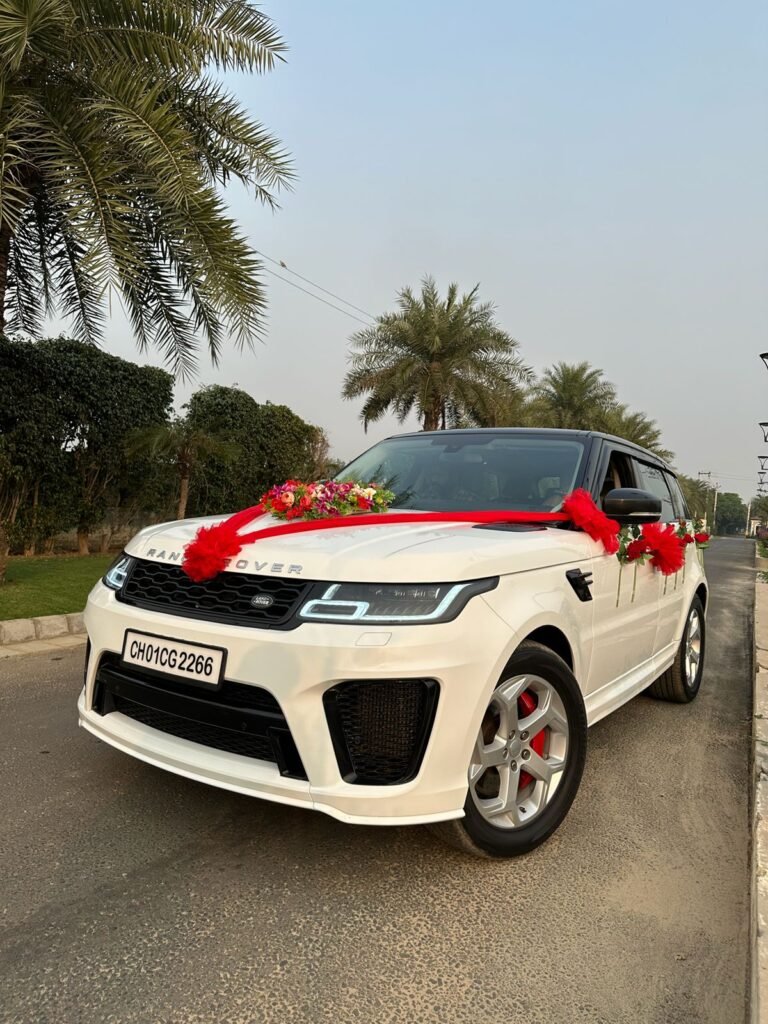 WhatsApp Image 2026-02-23 at 12.52.31 PM (1)