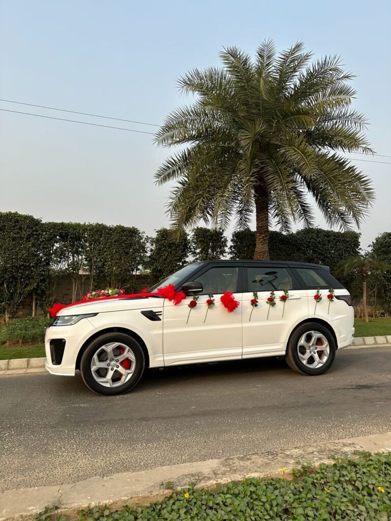 WhatsApp Image 2026-02-23 at 12.52.32 PM (1)