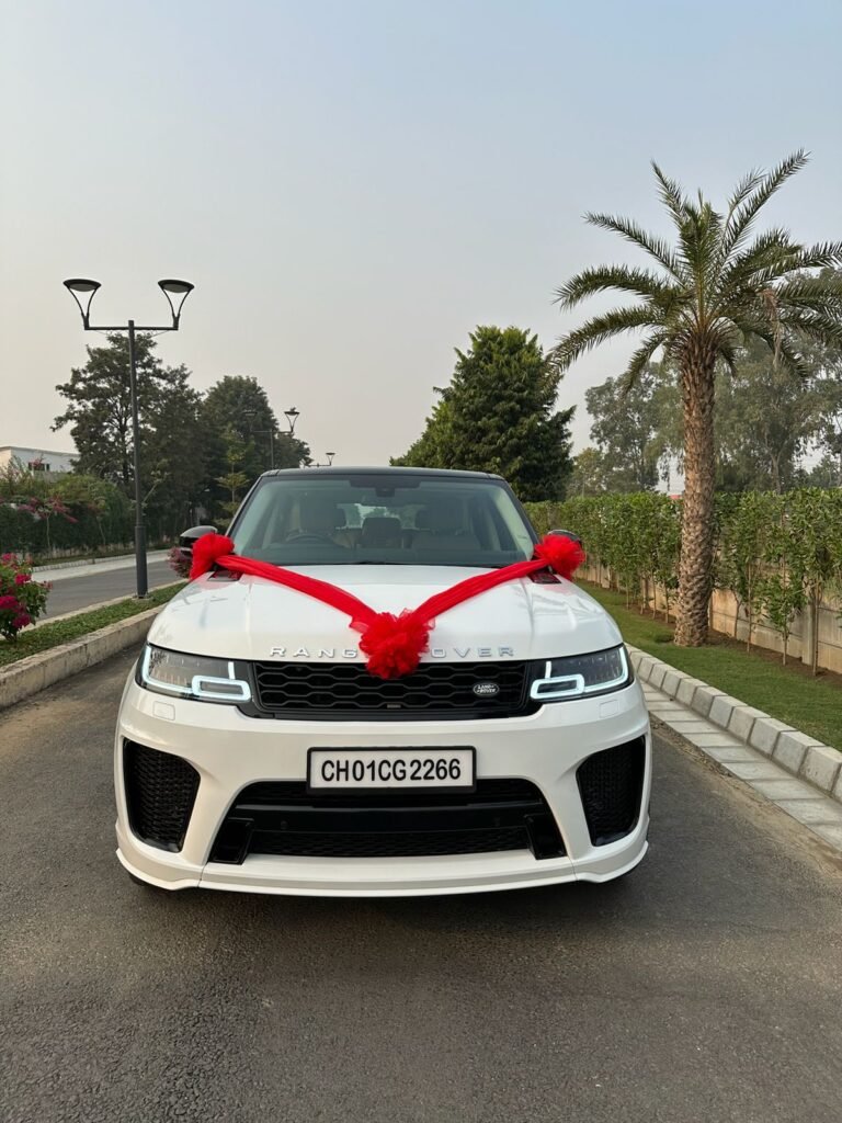 WhatsApp Image 2026-02-23 at 12.52.33 PM