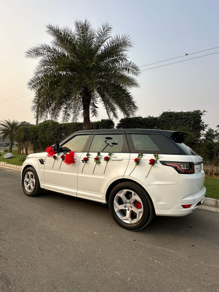 WhatsApp Image 2026-02-23 at 12.52.35 PM (1)