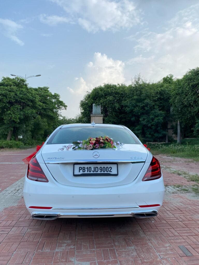 WhatsApp Image 2026-02-23 at 12.53.13 PM (1)