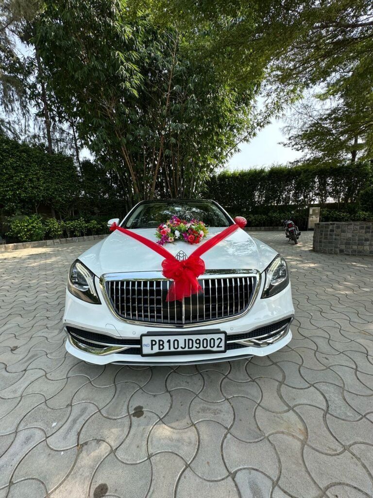 WhatsApp Image 2026-02-23 at 12.53.14 PM