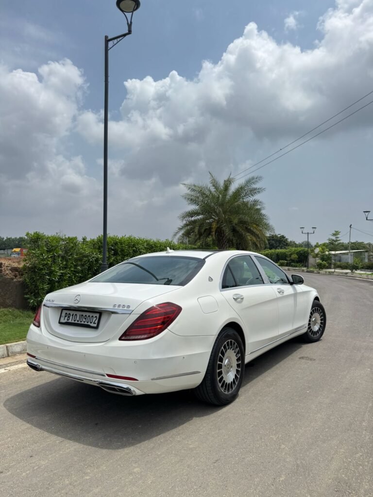 WhatsApp Image 2026-02-23 at 12.53.15 PM