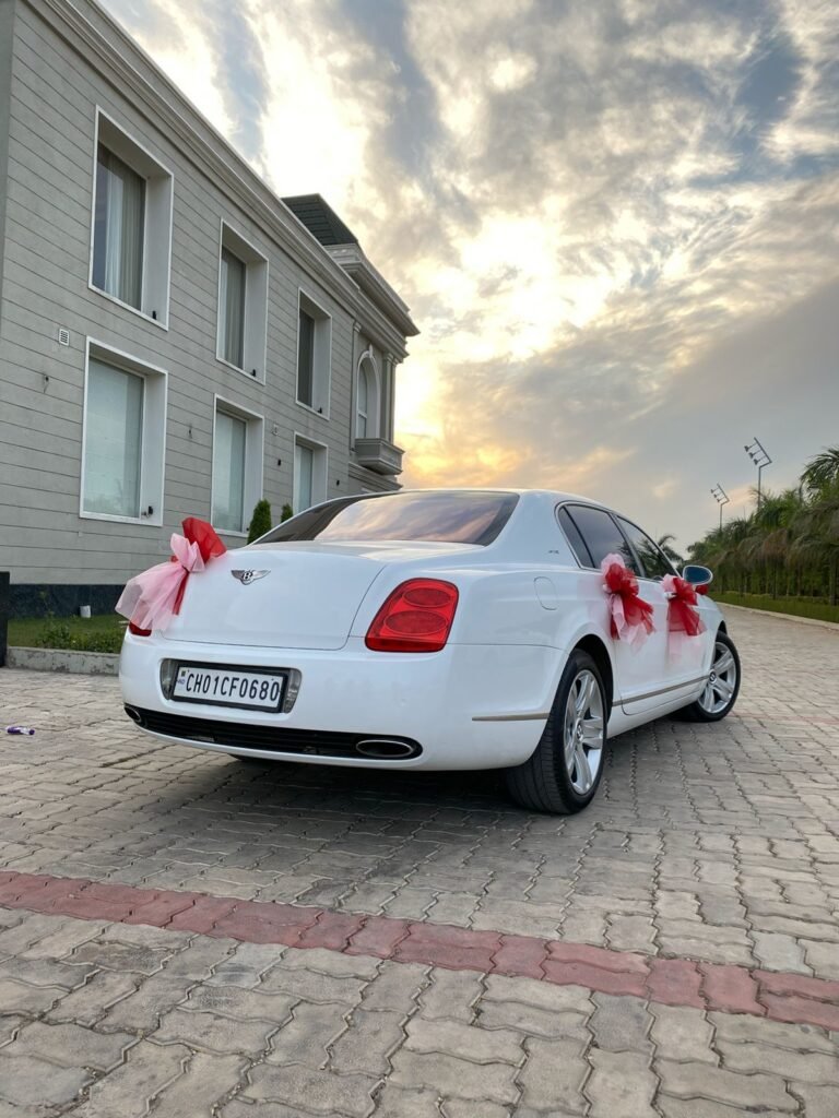 WhatsApp Image 2026-02-23 at 12.56.38 PM