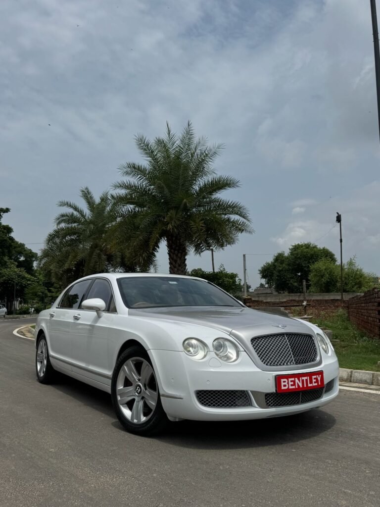 WhatsApp Image 2026-02-23 at 12.56.44 PM (1)