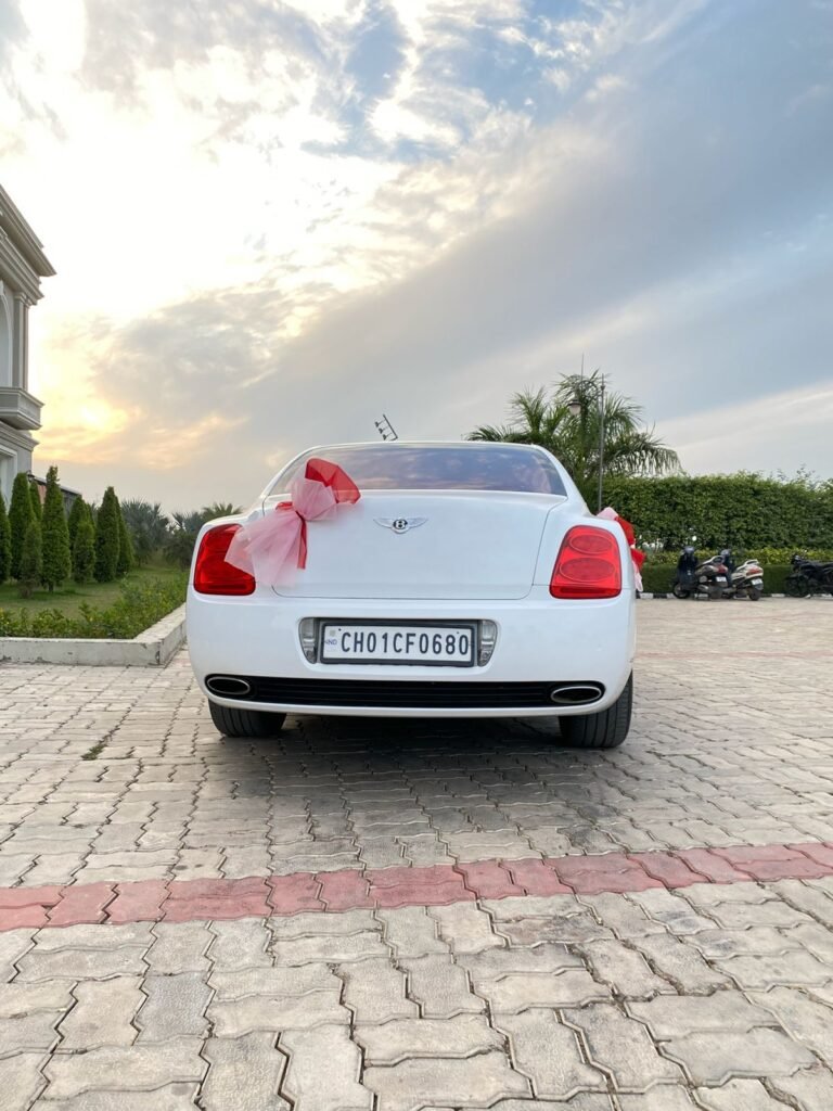 WhatsApp Image 2026-02-23 at 12.56.45 PM