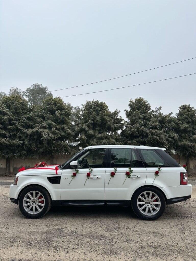 WhatsApp Image 2026-02-23 at 12.57.12 PM