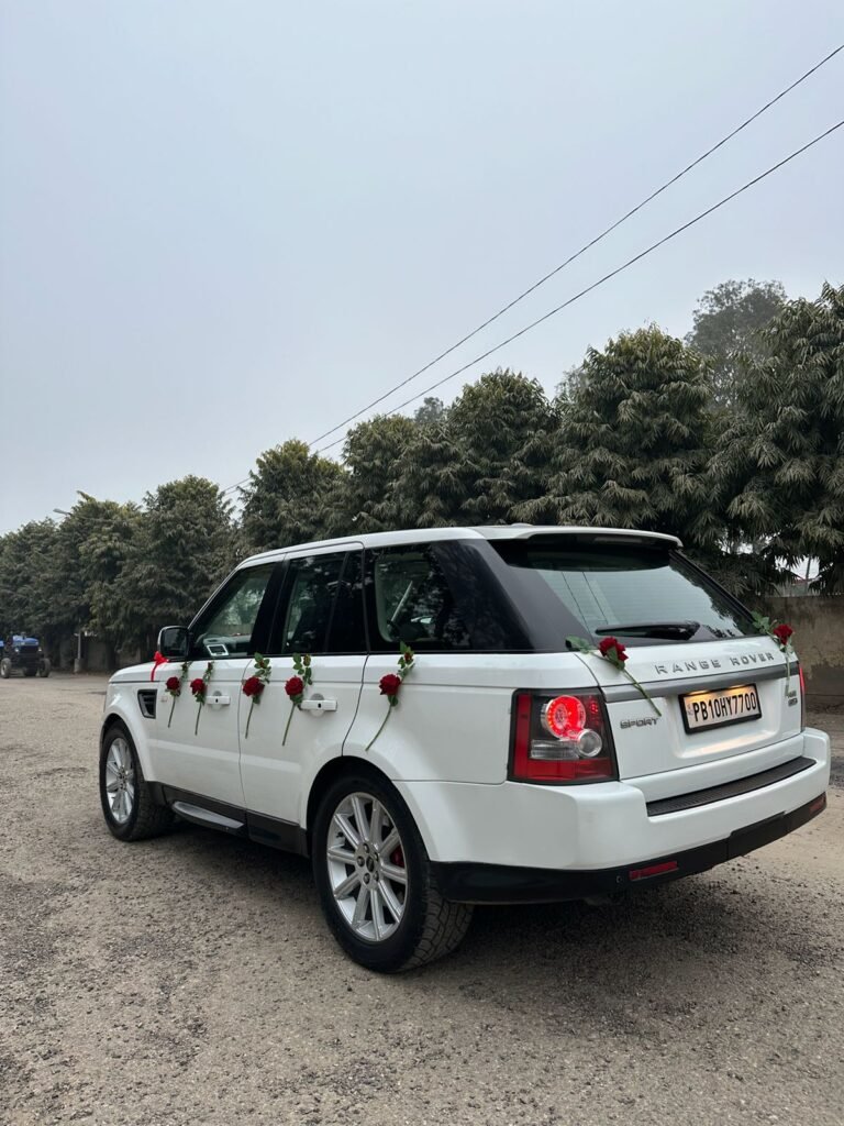 WhatsApp Image 2026-02-23 at 12.57.13 PM