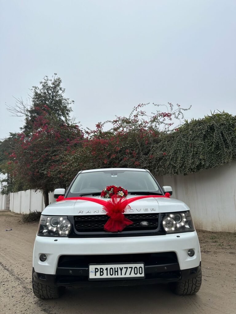 WhatsApp Image 2026-02-23 at 12.57.19 PM (1)