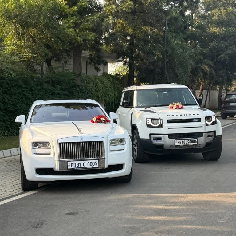 WhatsApp Image 2026-02-23 at 12.59.45 PM